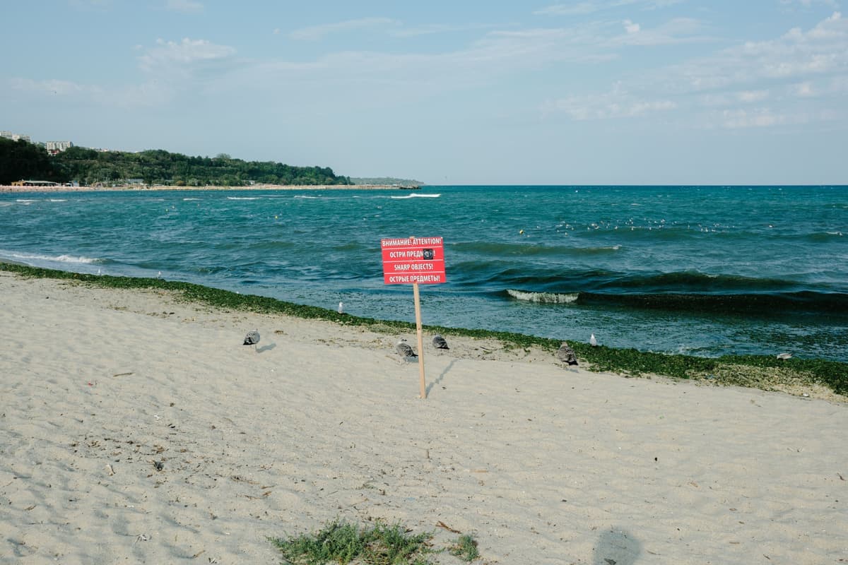 A notice board on a sandy shoreline
